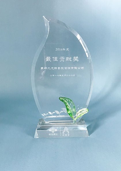2016 年度最佳贡献奖奖杯：授予苏州九龙珠餐饮管理有限公司